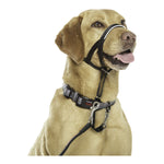 Load image into Gallery viewer, V5H1403BF10E8CF4AA9D1A3068CA2985D24R2354067P7
