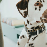 Load image into Gallery viewer, V5HD604BD8C70C05F92674F3C7378F7E236R2306668P2
