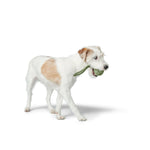 Load image into Gallery viewer, V2H37157796827A16A589BD455E6FFBE86BR4692973P2
