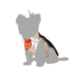 Load image into Gallery viewer, V3H4C31111292A49ED1E56CF06A673C5B17R5072037P4
