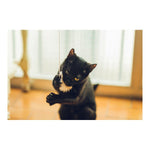 Load image into Gallery viewer, V7H2E3780D4B53499AD9D7B4193E32C75BER4263188P3
