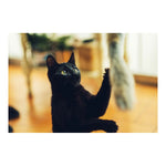Load image into Gallery viewer, V7HCDDD1250EE92C2C4208AC39FF0274C36R4263199P2

