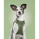 Load image into Gallery viewer, V4H7661CF6D82D07425281242CD42DF05C5R3627738P6

