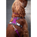 Load image into Gallery viewer, V4HD6815CFDFFF908B95F5D9D04D97B4797R3293003P3
