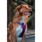Load image into Gallery viewer, V4H4E756600125F011E6C4E0F7BE6EA7E62R3293038P2
