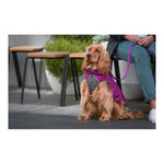 Load image into Gallery viewer, V6H918033E89C6F3ECE468894B4C283D2BDR1615866P5
