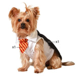 Load image into Gallery viewer, V3HD095A34E23241F98BFA74C7BCF886562R5072100P1
